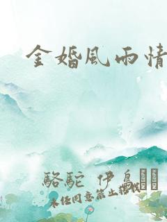 金婚风雨情下载