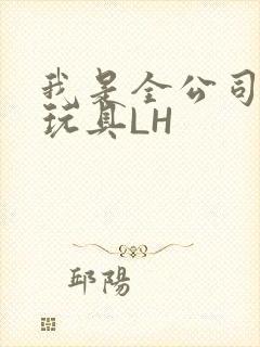 我是全公司发泄玩具LH