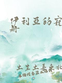 伊利亚的宠物手册