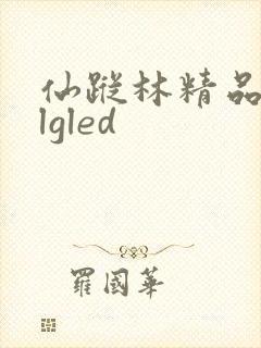 仙踪林精品zzlgled