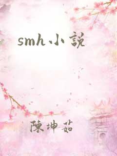 smh小说