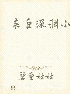 来自深渊小说