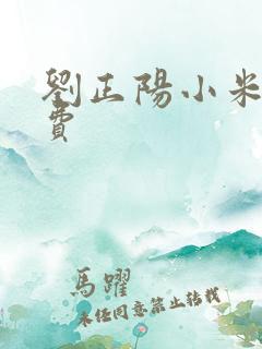 刘正阳小米多免费