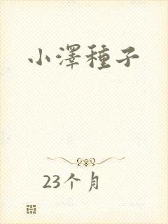 小泽种子