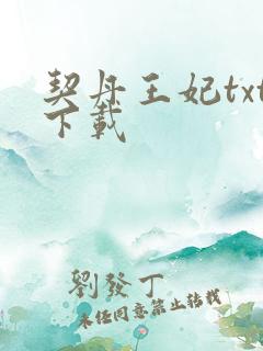 契丹王妃txt下载