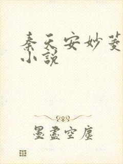 秦天安妙菱修仙小说