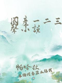 国产一二三区有声小说