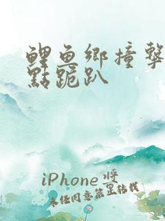 鲤鱼乡撞击敏感点跪趴