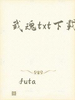 武魂txt下载