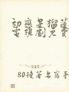 初恋是榴莲先生电视剧免费观看