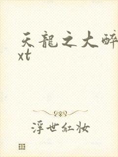 天龙之大醉侠txt
