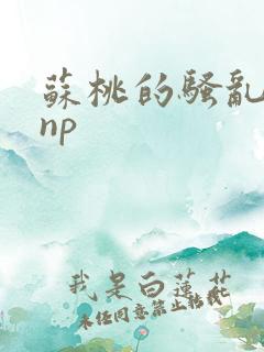 苏桃的骚乱文肉np