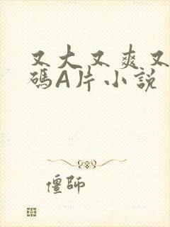 又大又爽又黄无码A片小说