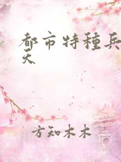 都市特种兵 任天