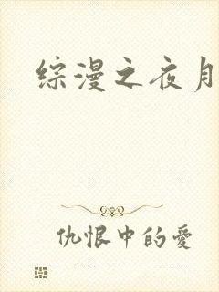 综漫之夜月