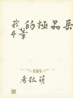 我的极品岳坶34章