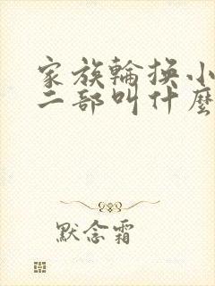 家族轮换小说第二部叫什么名字