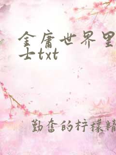 金庸世界里的道士txt
