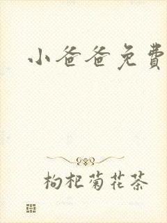 小爸爸免费下载