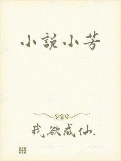 小说小芳