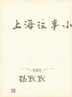 上海往事小说