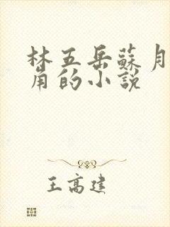 林五岳苏月灵主角的小说