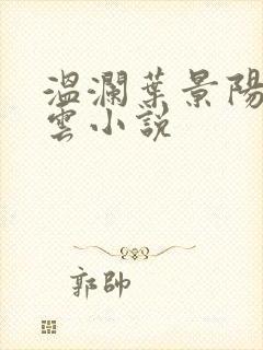 温澜叶景阳温云云小说