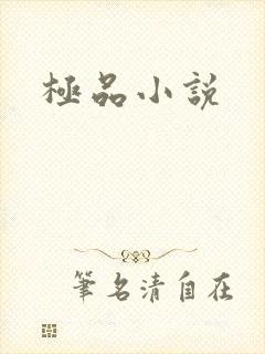 极品小说