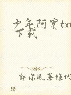 少年阿宾txt 下载