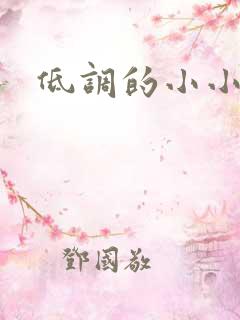 低调的小小宫女