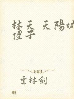 林天 天阳城 傻子