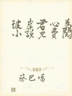 彼岸君心为我倾小说免费阅读