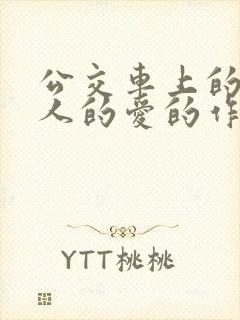 公交车上的陌生人的爱的作文