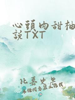 心头肉甜柚子小说TXT