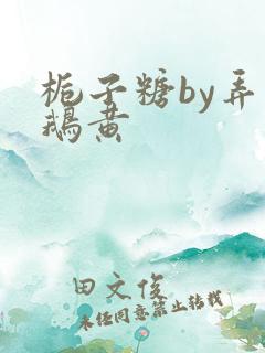 栀子糖by弄白鹅黄