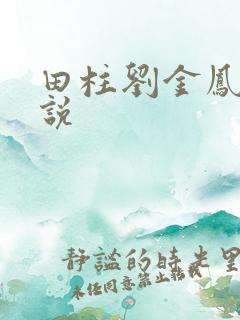 田柱刘金凤的小说