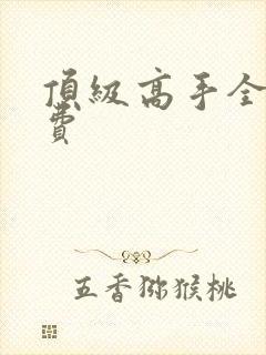 顶级高手全文免费