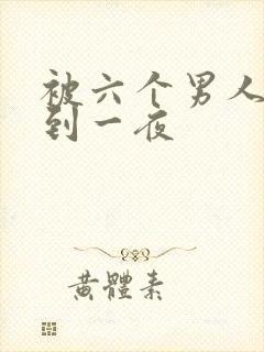 被六个男人躁J到一夜