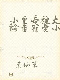 小皇帝被大臣们轮番宠爱小说