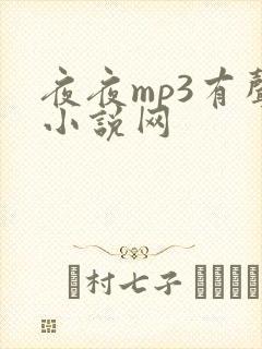 夜夜mp3有声小说网