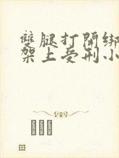 双腿打开绑在刑架上受刑小说