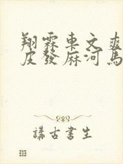 翔霖车文爽到头皮发麻河马的秘密