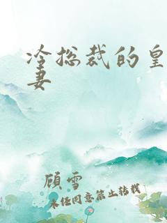 冷总裁的皇后暖妻