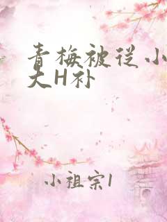 青梅被从小摸到大H补