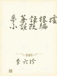 梦华录根据什么小说改编