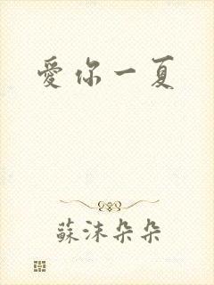 爱你一夏