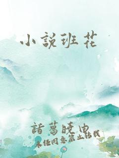 小说班花
