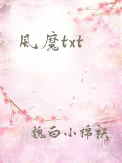 风魔txt