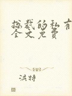 总裁的私有宝贝全文免费