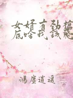 女婿有劲枪枪到底啥我钱飞了